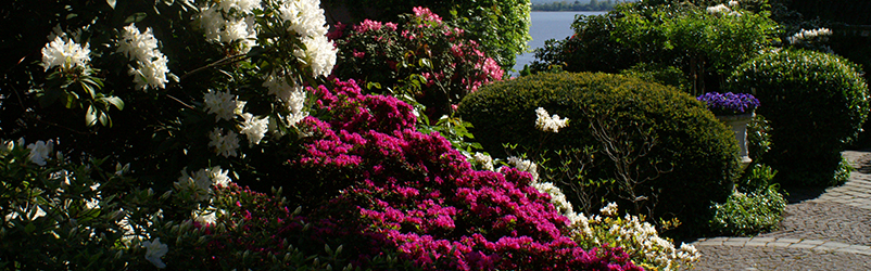 verschiedene Gartengeräte zur Bearbeitung Ihrer Park- und Grünanlagen